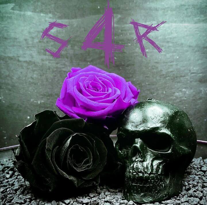 1 Año de Skull4roses y un 10% de Descuento para Celebrarlo