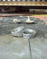 Taller · Crea tu propia alianza de Plata