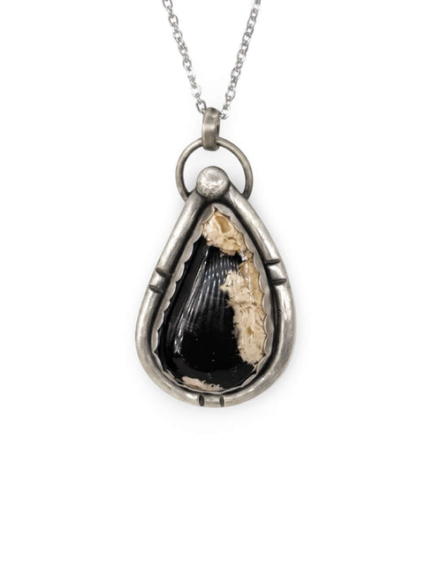 Colgante de Petrified Palm Wood