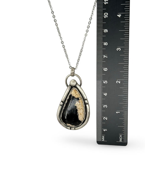 Colgante de Petrified Palm Wood