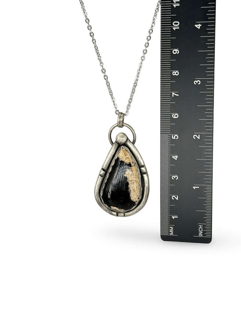 Colgante de Petrified Palm Wood